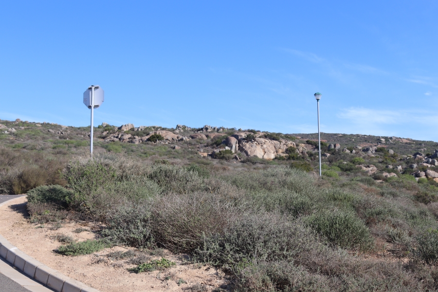 0 Bedroom Property for Sale in Steenbergs Cove Western Cape
